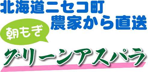 kCjZR̔_Ƃ璼BO[AXpB