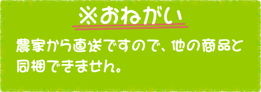 ˂B_Ƃ璼ł̂ŁȀiƓł܂B