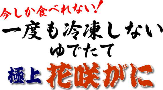 今しか食べられない!一度も冷凍しないゆでたて極上花咲がに