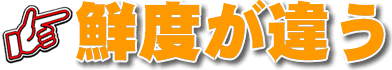 NxႤ