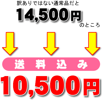 󂠂ł͂Ȃʏi14500~̂ƂA݂10,500~