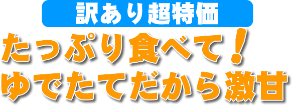 訳あり超特価。たっぷり食べて!ゆでたてだから激甘